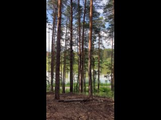 Лебяжьи озера Посмотрите, как там красиво! (видео)