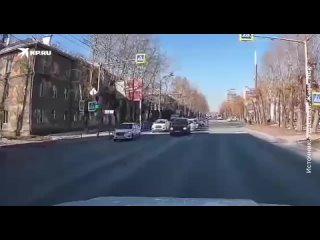 Щенок кокер-спаниеля сбежал из дома и попал под машину в Новосибирске. Хозяева отказались от него, узнав стоимость... (видео)