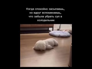 Неприятный моментик, который иногда происходит...