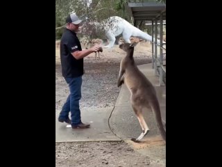 SPORT & FITNESS sport & fitness sport & fitness sport & fitness