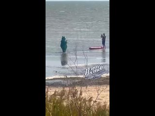 🍷 Кто как проводит выходные, а лягушка с мышкой тусят с винчиком на Азовском море. (видео)