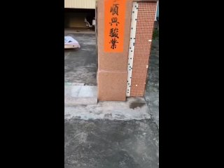 Доброе утро! (видео)