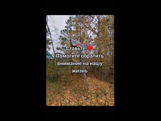 Вот и середина осени, из помощи нам только "грейдирование" для отписки...впереди зима и страшное время года - весна.... (видео)