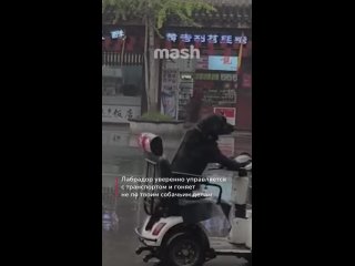 Тююю.... вот буряты скачут на бандеровцах! - Виталий Смирнов