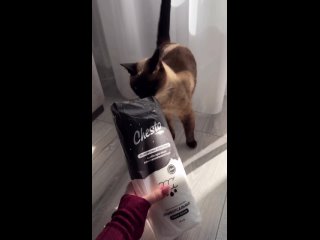 Картинки со смыслом или без... (видео)