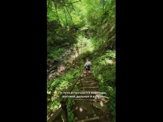 🏞️ Свирское ущелье - одно из самых живописных мест в Лазаревском районе Сочи  Это не только водопады и живописные... (видео)