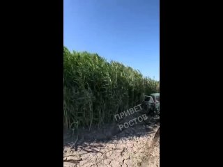 Ростовский каскадер Евгений Чеботарев перепрыгнул «Жигули» с катера  На кадрах видно, как он стоит на носу движущегося... (видео)