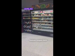 А ещё говорят мозг как у птички.. - Анна Южная