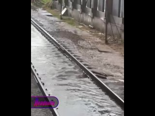 Столичное метро не выдержало напора тропического ливня — нет движения поездов на части Филевской линии    Между... (видео)