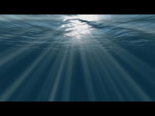 НЕЖНАЯ, МУЗЫКА ЛЮБВИ -