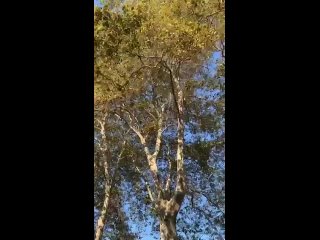Рано радоваться: на три дня дождь передали... - Sochi Zaveru