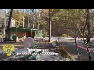 «Услышали треск, воспитатель крикнула «Разбегайтесь!»: в новосибирском детсаду на шестилетнего мальчика упала сосна  ЧП... (видео)