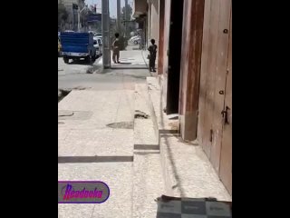В Иране вооруженные боевики устроили атаку на здание суда — есть погибшие и раненые    В иранском городе Захедан на... (видео)