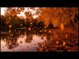 Песня 2025г. Сергей Есенин — Закружилась листва золотая