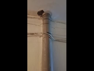 Утро 25.07.2024 г. Очередной сильный дождь. Половинская, 10. Новая крыша снова течёт. Уже подходит к 6 этажу. Рядом... (видео)