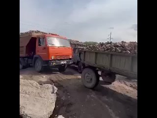 Стадо😳 безголовых - Алексей Лысых