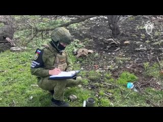 ⚖ Суд приговорил троих украинских военных за вооружённый захват села Ольговка в Курской области    Как сообщили в... (видео)