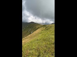 В горах последнее время стали замечать все больше гуляющих мишек    Где снято: гора Табунная (видео)
