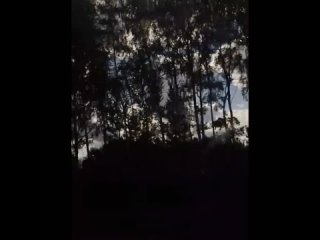 японская песня