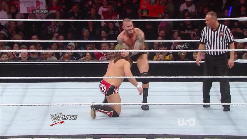 Randy Orton vs. Daniel Bryan