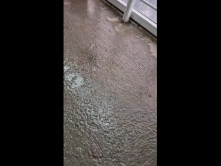 Вот уже несколько лет мы сталкиваемся с проблемами в «ЖК Мостовик». Несмотря на многочисленные обращения и жалобы, нам... (видео)