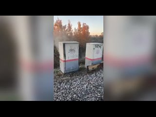 В Санкт-Петербурге транспортная полиция при содействии УФСБ и ОМОН «Балтика» Росгвардии задержала молодую пару,... (видео)