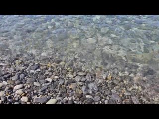 Погода на море сегодня.  Ясно , солнечно, температура воздуха днем до 31 градуса в тени, температура воды 26,9 градуса.... (видео)