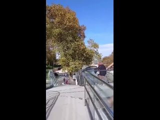 В компании «Десо» прокомментировали ремонт моста «Волшебный лист»  Мост «Волшебный лист» торжественно открыли 31 мая,... (видео)