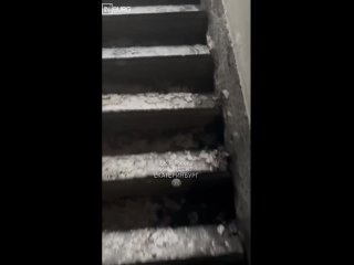 Подписчица сообщила, что минувшей ночью в доме на улице Заводская, 34 неизвестные подожгли покрышки в подъезде ... (видео)