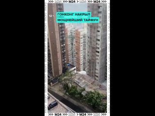 🌪 Ветер со скоростью 140 км/ч, сбитые с ног люди и сорванные крыши — в Гонконге бушует мощнейший тайфун Wipha.   ... (видео)