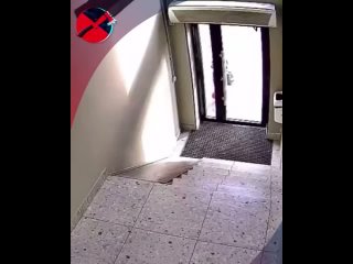 Девушка спокойно поднималась по лестнице, когда внезапно навстречу выскочило это существо. Оно издало пронзительный... (видео)
