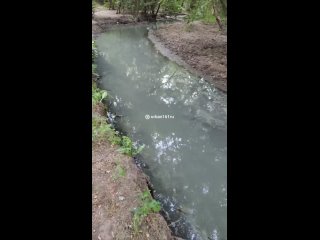 В парке Авиаторов в Ростове загрязнили реку Кизитеринку.   Жители жаловались на сильный запах канализации и грязную... (видео)