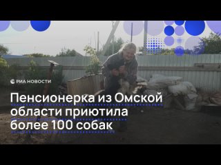 Пенсионерка Ирина Усова самостоятельно ухаживает за приютом для более чем 130 собак. Большинство животных здесь —... (видео)