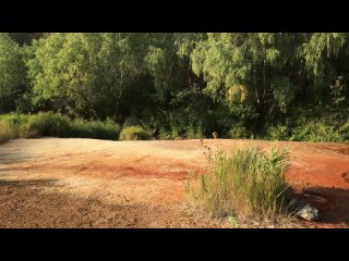 Видео от Хорена Гевондяна