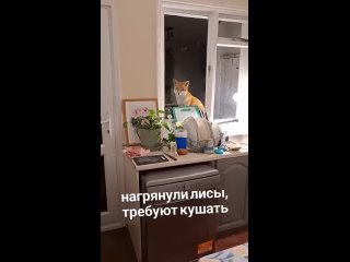 Эффективный способ заснуть (видео)
