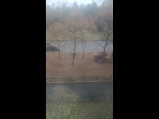 почему «тракторист», он же опавшую листву между деревьев убирает, приглядитесь как чисто там, где техника прошла; а... - Оксана Николаевна