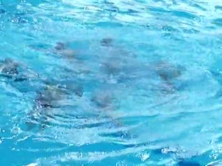 Длинная группа северо-запад