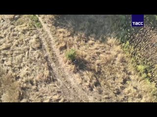 ФСБ задержала в Ставропольском крае гражданина Азербайджана за подготовку терактов, сообщили в ЦОС ФСБ.  Мужчина... (видео)