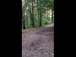 Грызть деревья и плакать запретили в Шарташском лесопарке.  Такой забавный плакат с шуточными правилами заметили... (видео)