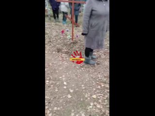 В Кыштовском районе на местном кладбище вандалы разрушили надгробные плиты   Со слов жителей деревни Заливино к этому... (видео)