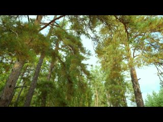 Клип для гимна Курганской области от Максима Фадеева (видео)