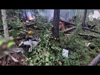 Появилось видео с места крушения Ан-24 в Амурской области    Его опубликовал Следственный комитет. В ведомстве сообщили... (видео)