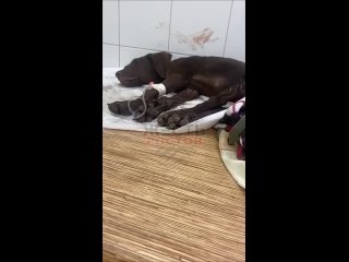 В Азове 8 сентября на улице Севастопольской у дома №53 произошла тревожная находка: прохожие — молодой человек вместе с... (видео)