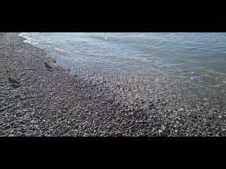 Погода на море сегодня.  Ясно и солнечно, температура воздуха днем до 16 градусов тепла, ночью до 8, температура воды... (видео)