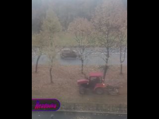 Питерский тракторист разнообразил уборку листвы    Тракторист из Санкт-Петербурга волнообразно разъезжал между деревьев... (видео)