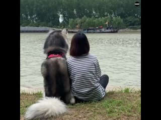 Наши самые лучшие друзья !