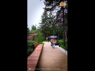 🌧️ Дождь задержался в уральской столице. Но в прогулках под зонтом есть что-то особенное, согласны? ⠀ #КрасотаУрала... (видео)
