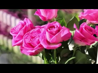 Спокойный отдых, расслабляющий отдых, виды спокойного otdyha