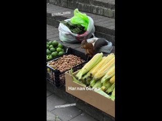 Какая же прелесть 😍😍😍 - Ирина Николаевна