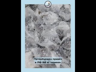 Осуждён петербуржец, вёзший из-за границы 88 кг запрещёнки  Таможенники приняли жителя Петербурга, когда он ехал из... (видео)